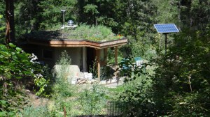 Living roofs that collect rain and grey water and biologically filter before entering a storage pond