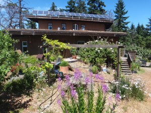 Integrated regenerative design: Rainwater, greywater, groundwater, living roofs, gardens, solar PV, solar thermal, composting toilets...